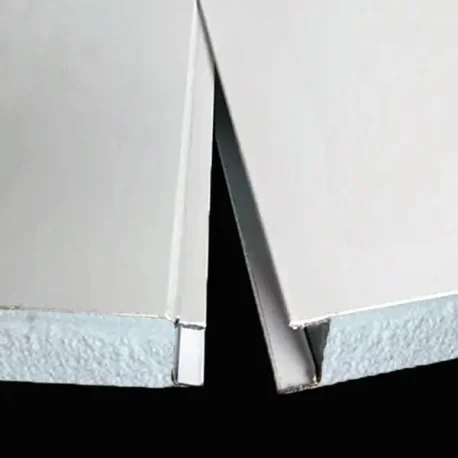 panel-eps-ngam-lien-ket