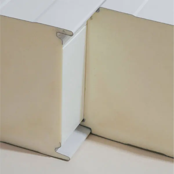 panel-pir-kho-lanh-2